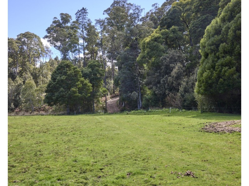 1481 Golconda Road, Wyena TAS 7254