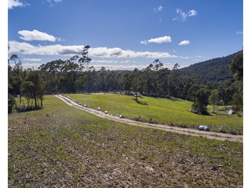 1481 Golconda Road, Wyena TAS 7254