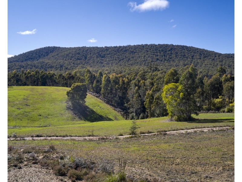 1481 Golconda Road, Wyena TAS 7254