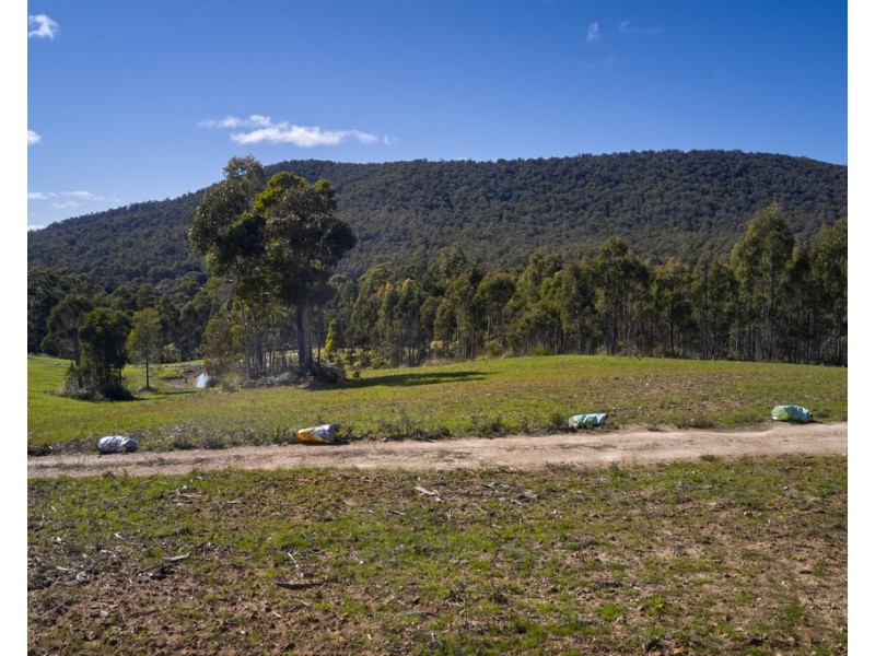 1481 Golconda Road, Wyena TAS 7254