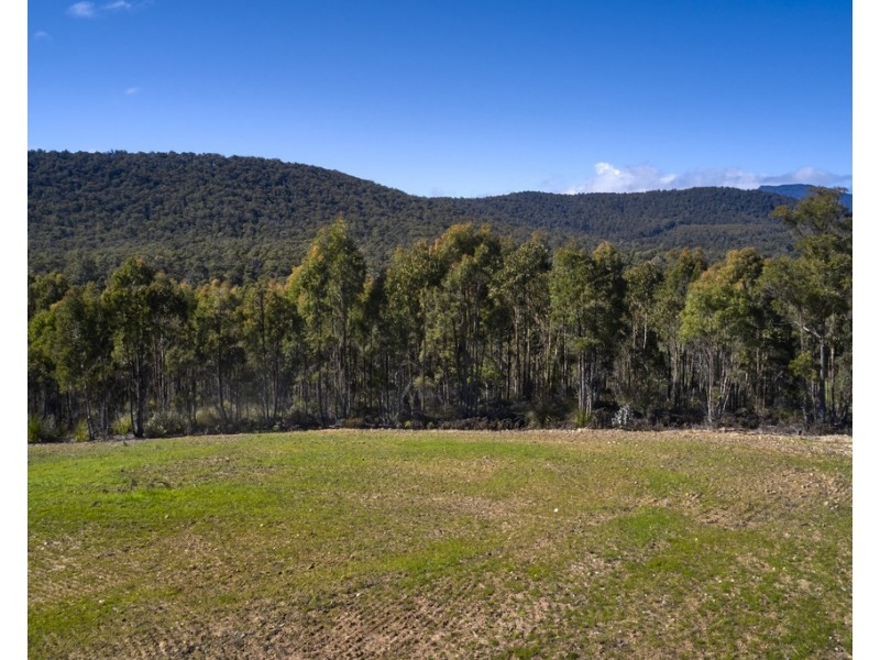 1481 Golconda Road, Wyena TAS 7254
