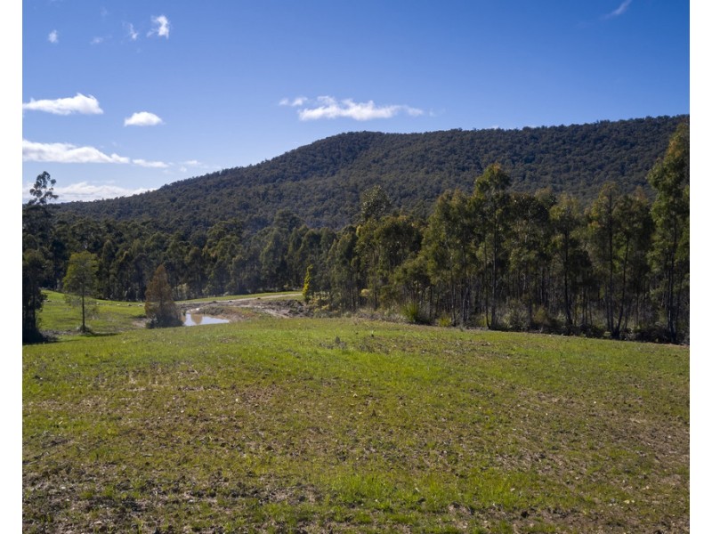1481 Golconda Road, Wyena TAS 7254