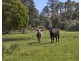 1481 Golconda Road, Wyena TAS 7254