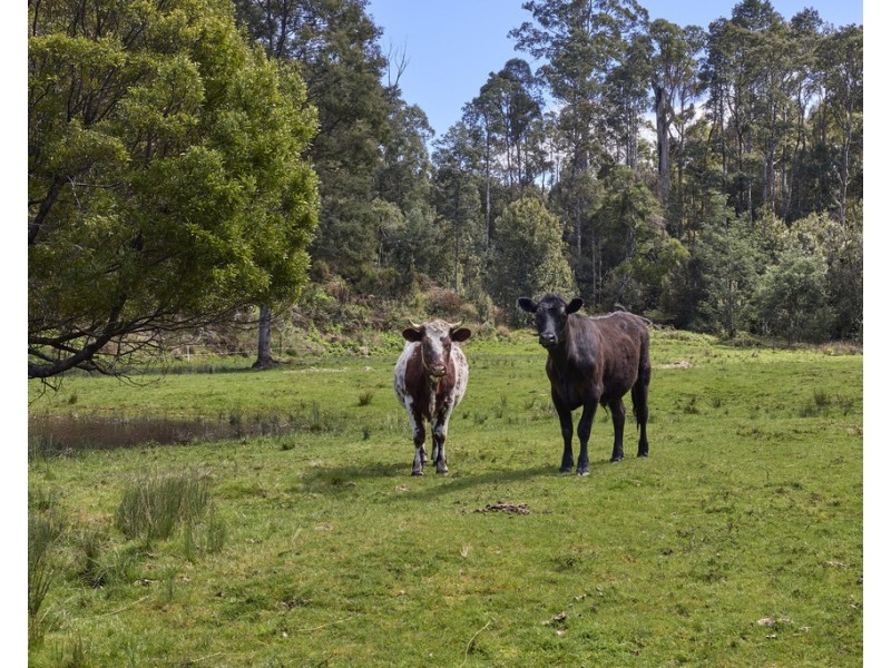 1481 Golconda Road, Wyena TAS 7254