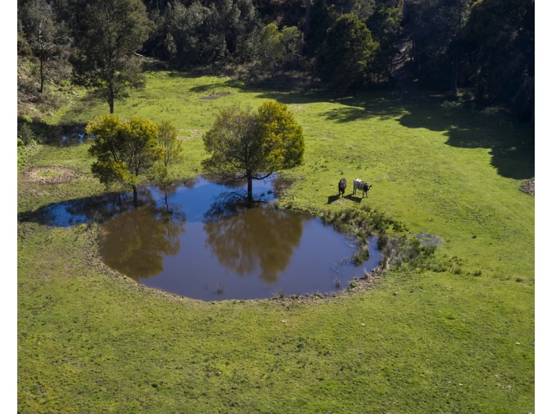 1481 Golconda Road, Wyena TAS 7254
