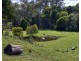 1481 Golconda Road, Wyena TAS 7254