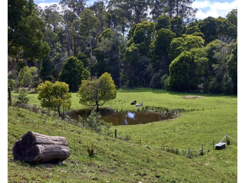 1481 Golconda Road, Wyena TAS 7254