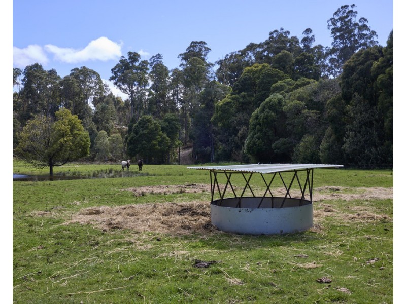 1481 Golconda Road, Wyena TAS 7254