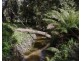 1481 Golconda Road, Wyena TAS 7254