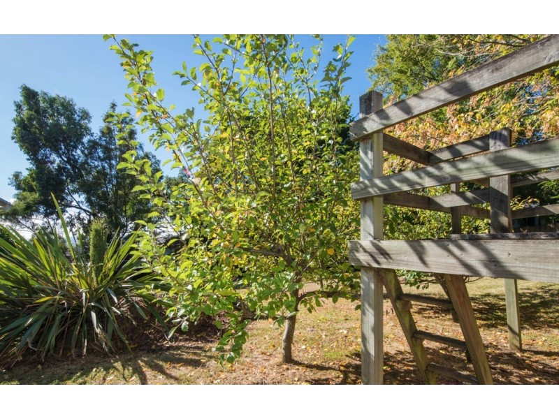 1 Pitten Crief, Riverside TAS 7250