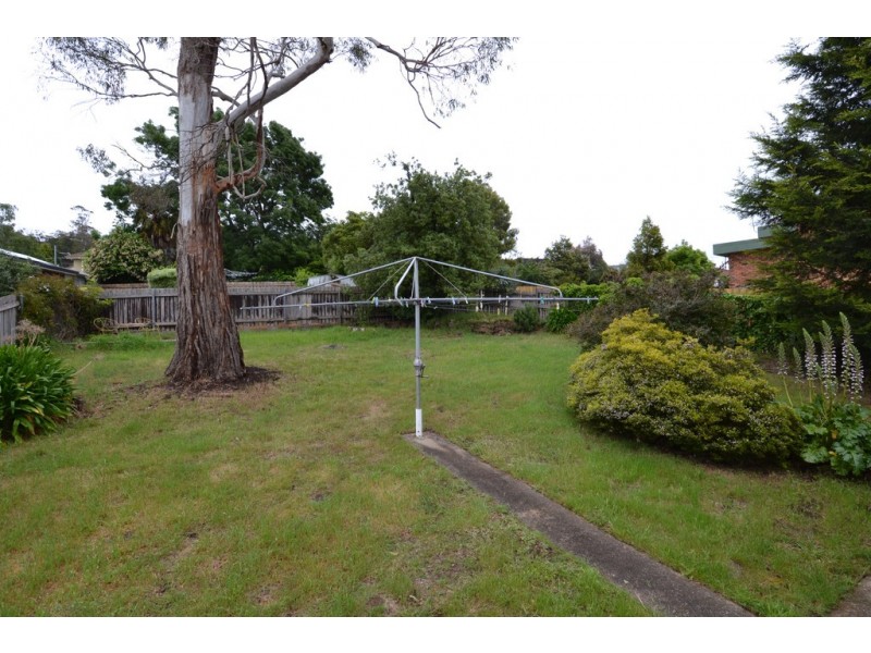 38 New World Avenue, Trevallyn TAS 7250