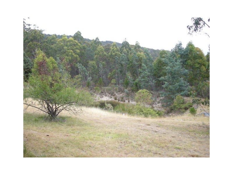 Karoola TAS 7267