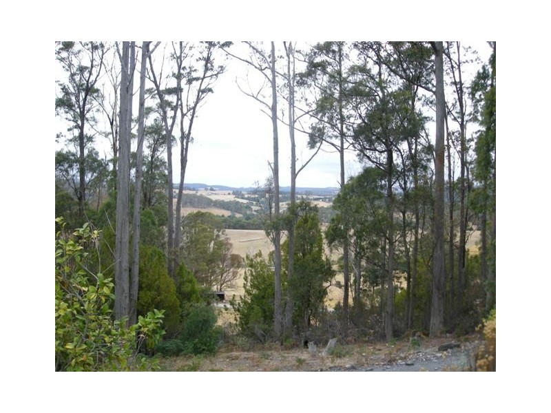 Karoola TAS 7267