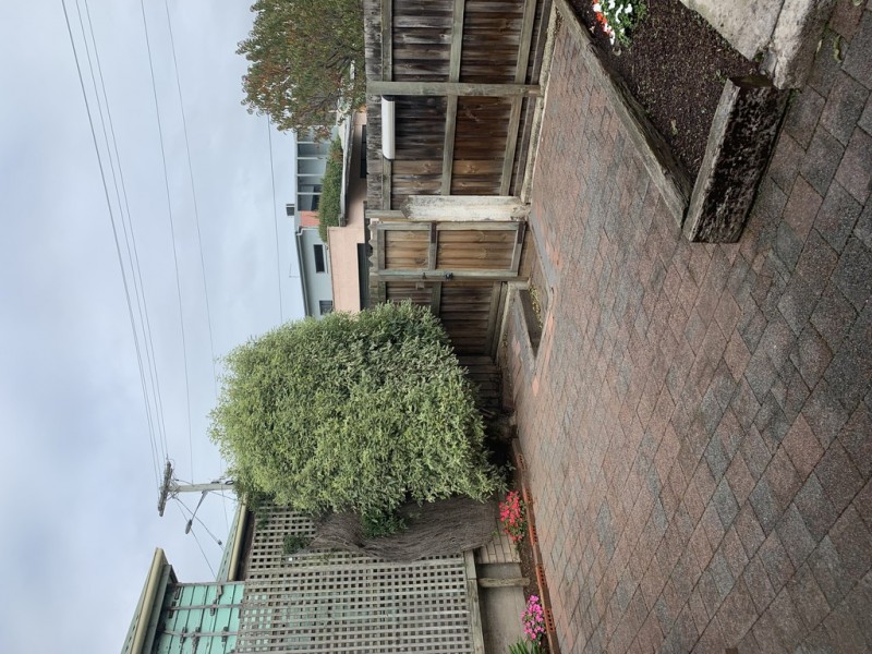 41 Garfield Street, South Launceston TAS 7249