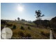 1135 Windermere Road, Swan Bay TAS 7252