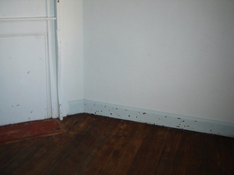 56 Bathurst Street, Launceston TAS 7250