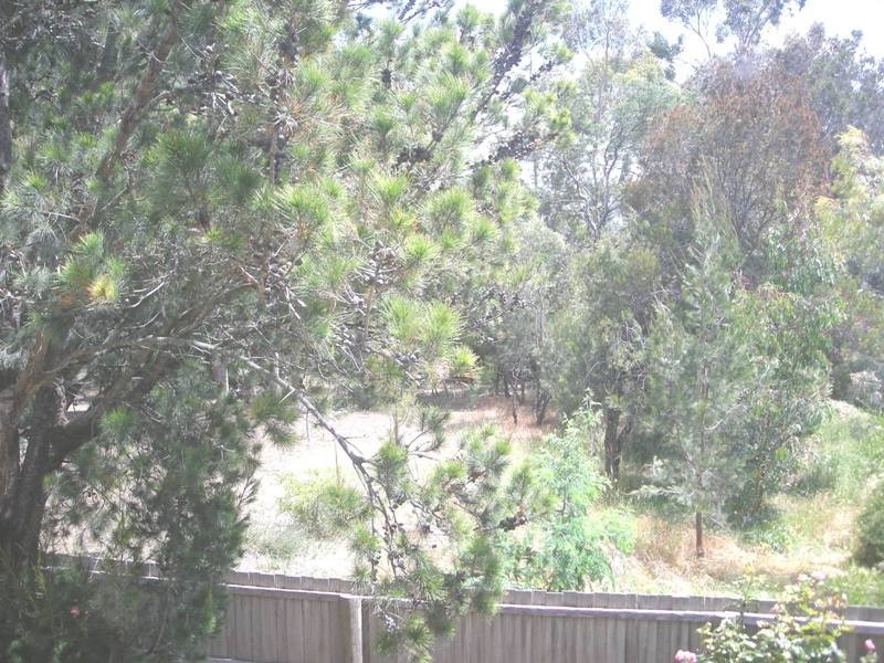 6 Avonbury Court, Norwood TAS 7250