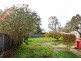 7 Morsehead Road, Punchbowl TAS 7249