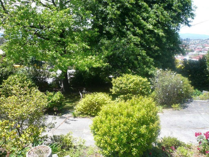 8 Eurella Street, Kings Meadows TAS 7249