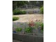 45 Heather Street, West Launceston TAS 7250