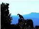 1410 Rossarden Road, Rossarden TAS 7213