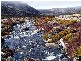 1410 Rossarden Road, Rossarden TAS 7213