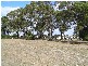 30 Main Road, George Town TAS 7253