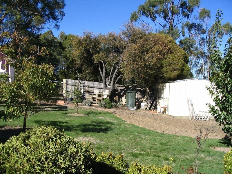 54 Alma Street, Youngtown TAS 7249