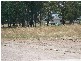 Lot 63 Riverview Estate, Newnham TAS 7248
