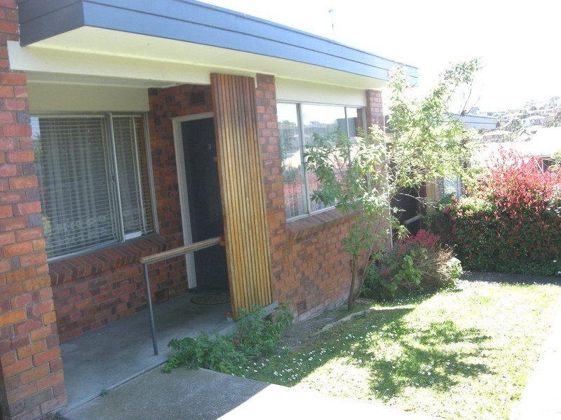 3/6 Albert Street, Youngtown TAS 7249