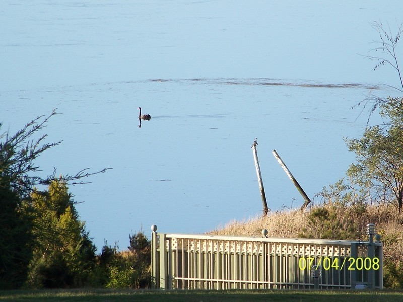 129 Jetty Road, Legana TAS 7277