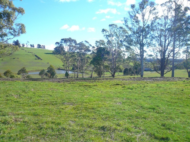 248 Adams Road, Lebrina TAS 7254