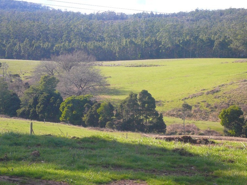 248 Adams Road, Lebrina TAS 7254