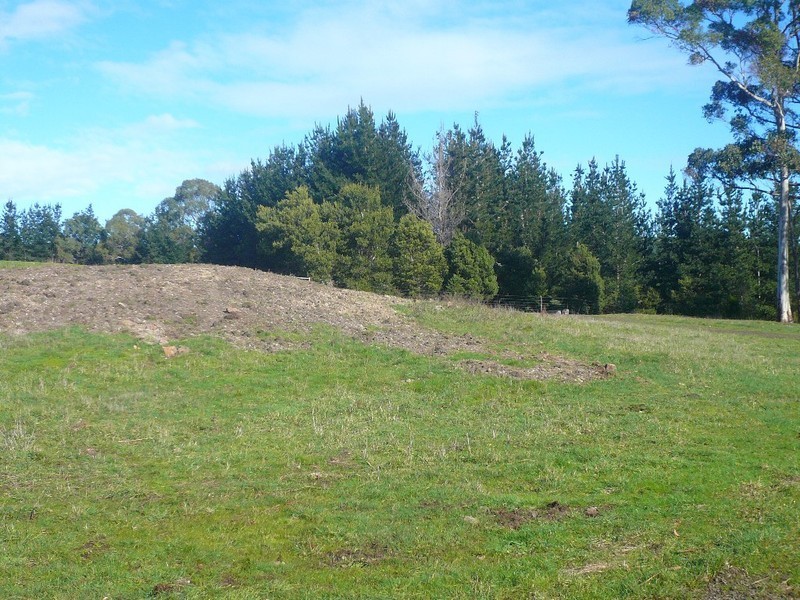 248 Adams Road, Lebrina TAS 7254