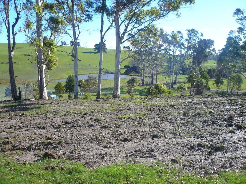 248 Adams Road, Lebrina TAS 7254