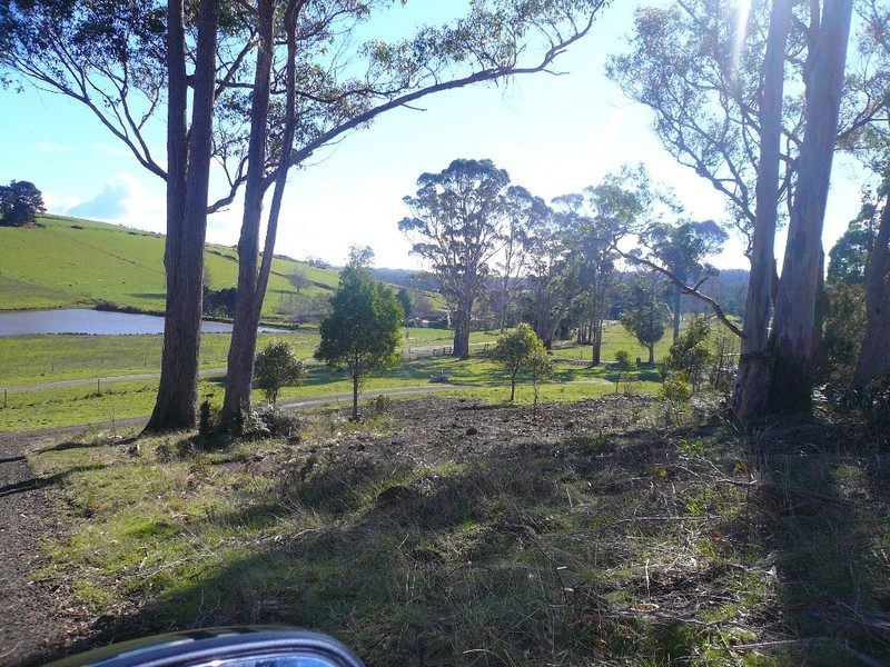 248 Adams Road, Lebrina TAS 7254