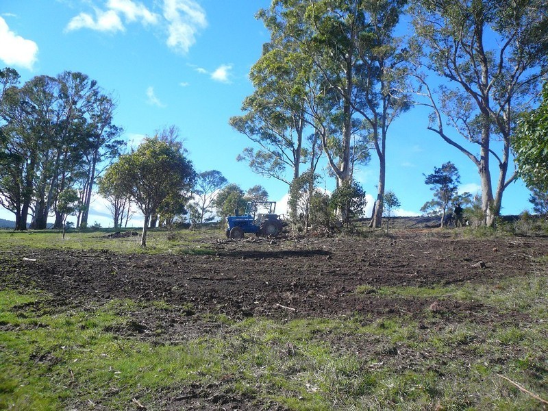 248 Adams Road, Lebrina TAS 7254