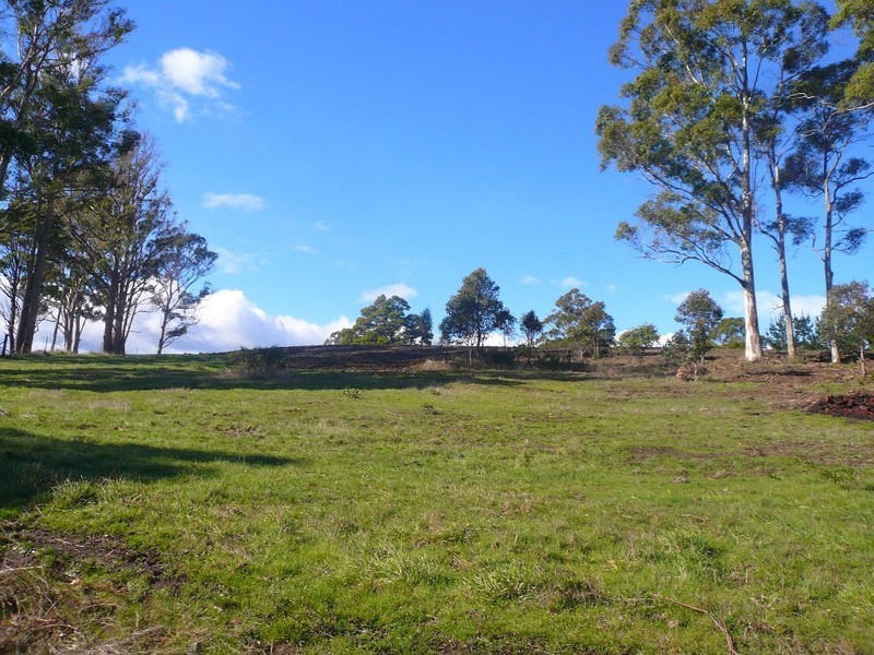 248 Adams Road, Lebrina TAS 7254