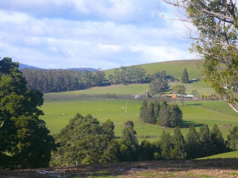 248 Adams Road, Lebrina TAS 7254