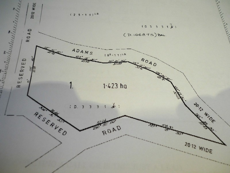 248 Adams Road, Lebrina TAS 7254