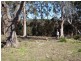 3 Richards Street, Lefroy TAS 7252