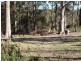 3 Richards Street, Lefroy TAS 7252