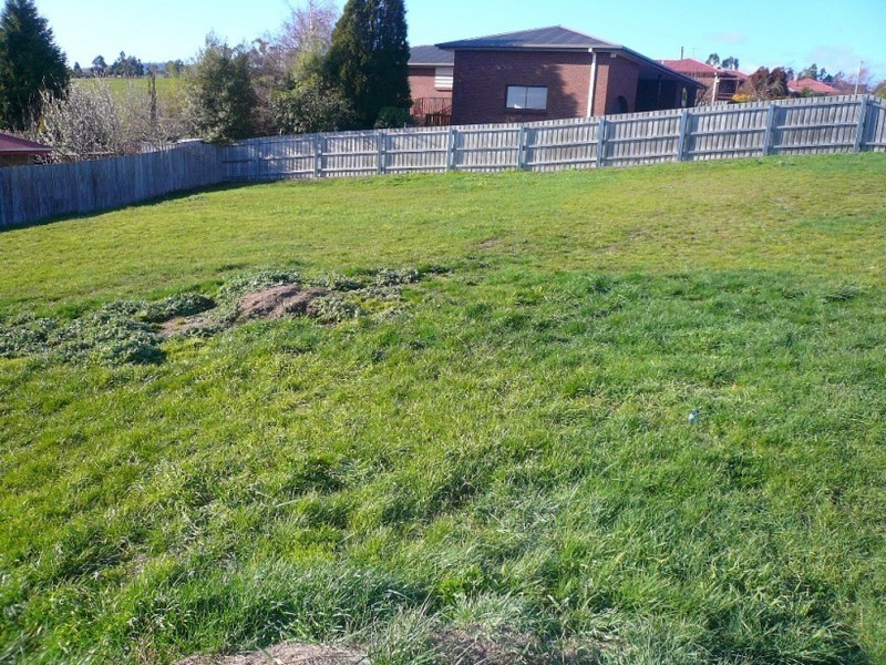 36 Vermeer Avenue, Newnham TAS 7248