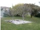 1 Chapman Place, Hadspen TAS 7290
