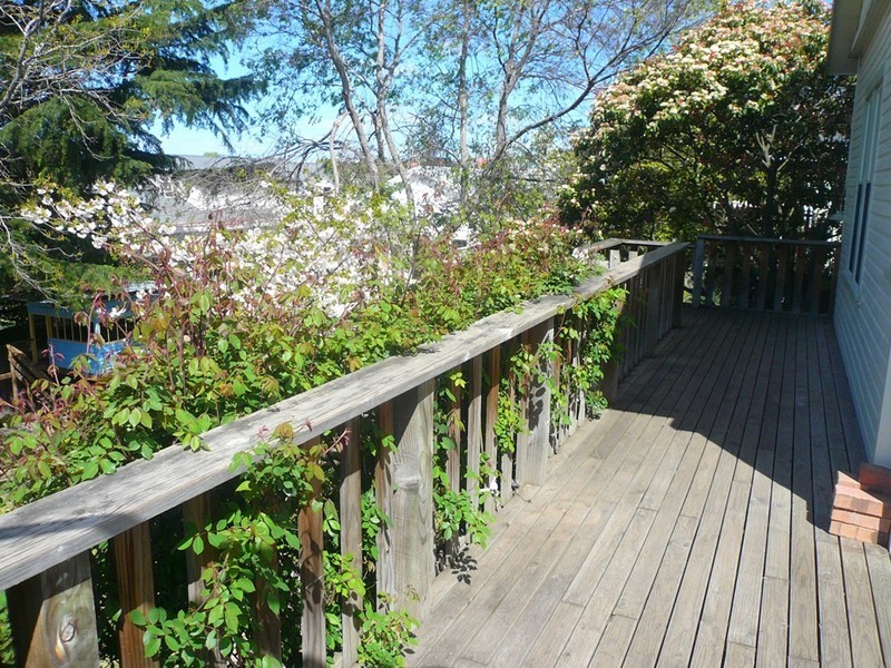 17 Hornsey Avenue, East Launceston TAS 7250