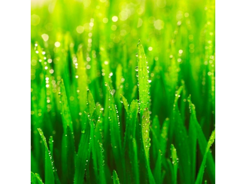 Lot 7 Riverview Estate, Newnham TAS 7248