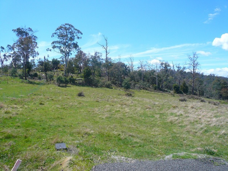 105 Sherborne Drive, Dilston TAS 7252