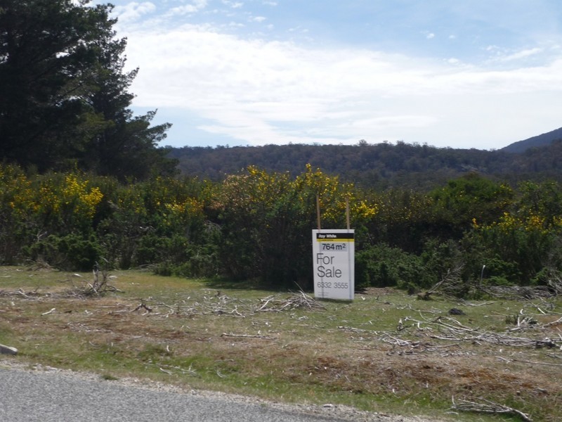 17 Walter Street, Rossarden TAS 7213