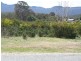 17 Walter Street, Rossarden TAS 7213