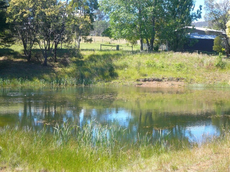 1129 East Tamar Highway, Dilston TAS 7252